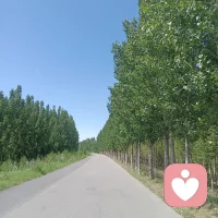 阳光普照着大地，天地一片明亮。
高考启程，少年向阳而行。
明媚的光景总能让人卸下疲惫，心生欢喜。
若你也想分享此刻的心情，聊聊心底所想，我一直都在。
愿阳光常驻心间，快乐与美好永远相伴