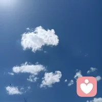 阳光普照着大地，天地一片明亮。
高考启程，少年向阳而行。
明媚的光景总能让人卸下疲惫，心生欢喜。
若你也想分享此刻的心情，聊聊心底所想，我一直都在。
愿阳光常驻心间，快乐与美好永远相伴