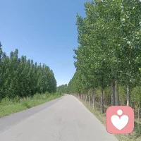 新的清晨
新的起点
保持热情
奔赴每一份美好。
