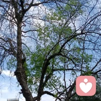 新的清晨
新的起点
保持热情
奔赴每一份美好。