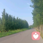 慧敏倾听的头像