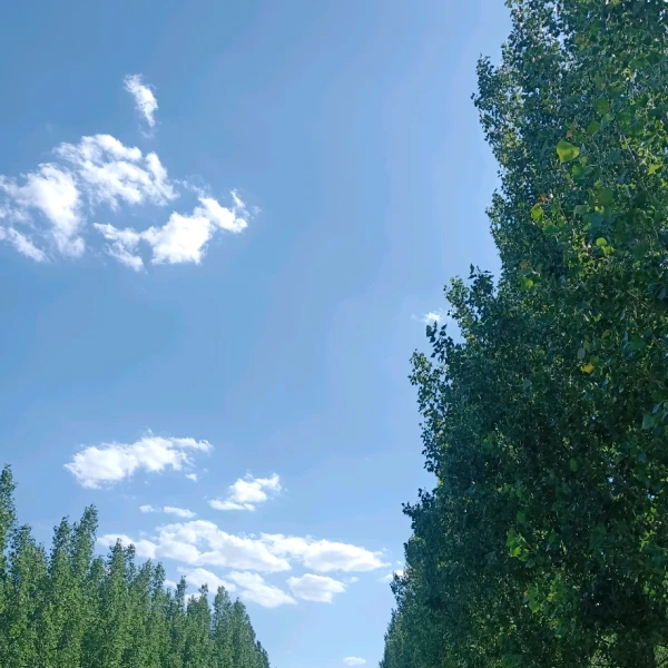 慧敏倾听