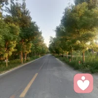 我曾喜欢的一段话：日落归山海，山海藏深意，没有人不遗憾，也没有人不痛苦，只是有人不喊疼。后来，晚风吹人醒， 万事藏于心，何以言，何能言，何处言，与谁言
现在我说都可与我言