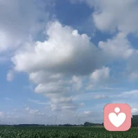 满心奔赴向往的花海，
抵达才发现花期早已落幕，
满眼繁花尽数化作青林绿草。
 我们总笃定记忆里的美好会永远定格，
却常常忽略万物皆有花期，时光一直在悄然向前。
很多念念不忘的光景，
早已在岁月里悄悄改换了模样，
只是我们迟迟未曾察觉。
 人生大抵也是如此，
期待常在，世事常新，接纳变化，才是与生活温柔相处。
