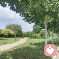 今天是农历六月的第三天，也是入伏的第二天，天气进入夏季最潮热时期。我们的执念也好，遗憾也罢，不如从此放下，不是让它们消失，而是放在一个安全角落，接收它们！有时执念，遗憾我们避免不了，就家这炎热的夏季，我们逃避不了，也掌控不得，但在这炎热夏季是某些作物的疯长时期，是为秋天的丰收埋下伏笔∽时候，是为秋天积攒力量！这对于我们的人生经历何尝不是积攒某个时刻的力量呢！我们所有的经历，努力其实都算数，都会在未来的某一刻：对自己说，原来老天让我经历这一切都是值得的！我们的经历只有成长和成功这两种状态！
愿我们历经千帆，归来仍是少年！
愿我们彼此安好！