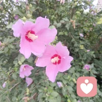 经历生活的苦，尝过人间百味，也曾为生活而蹉跎，也被现实经历伤的体无完肤，还好，慢慢走出来了！喜欢初升朝阳的温柔，也迷恋夕阳的烂漫，看那天空无忧无虑的云更是向往，望向那湛蓝∽的天空，天空好美，才发觉世间风景竞如此动人！