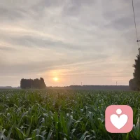 经历生活的苦，尝过人间百味，也曾为生活而蹉跎，也被现实经历伤的体无完肤，还好，慢慢走出来了！喜欢初升朝阳的温柔，也迷恋夕阳的烂漫，看那天空无忧无虑的云更是向往，望向那湛蓝∽的天空，天空好美，才发觉世间风景竞如此动人！