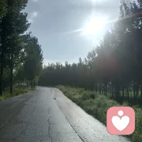 昨天夜里雨滴滴达达下了一夜，今天雨过天晴，经过一夜的洗理，树叶格外新疑，空气格外清新，在这样一条小道上走着，心情也不错
早上好！配图
