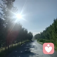 昨天夜里雨滴滴达达下了一夜，今天雨过天晴，经过一夜的洗理，树叶格外新疑，空气格外清新，在这样一条小道上走着，心情也不错
早上好！配图