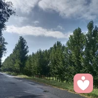 昨天夜里雨滴滴达达下了一夜，今天雨过天晴，经过一夜的洗理，树叶格外新疑，空气格外清新，在这样一条小道上走着，心情也不错
早上好！配图