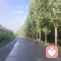 今天，睛，阳历七月30日，阴历：六月十七，星期四
人生难得一知己
千古知音最难觅