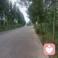 📢今日工作时间提示
今日外出处理线下事务，白天无法在线。
🕒在线时段：中午、18:30之后
来访的朋友可以先留言，欢迎提前预约，上线后我会逐一回复，感谢理解🙏