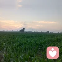 今天农历六月二十三，阴历8月五号，时间过的好快，后天就立秋了，炎热的夏季就告一段落了，随着秋高气爽的天气来临，心情也会从烦燥转向温和，一早一晚也不会这么热了，春夏秋冬的交替，周而复始的循环，人是一段路程，一段路程的走，每一段路程都会有不同人的陪伴，有的是一程，也有的擦肩而过的缘分。都说时间可以淡忘一切，愿我们只记美好！始终保持那颗平和的心，只愿余生身体健康！平安喜乐！珍惜拥有！活好当下！余生很贵，且行且珍惜
夕阴西下，余辉也别有一番景致