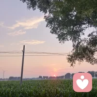 出自《自渡》的一段话：要想抵抗焦虑情绪丶充分活在当下，我们还需要培养内心的力量感，也就是相信自己拥有能够应对未知处境的能力，把时间用在行动上。当下每分每秒，都是生命赋予我们的珍贵礼物。
将日子填的丰满些，这样，在迎着黑夜行走时，内心也会无比充盈敞亮。