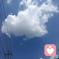 这个世界上的事真的很奇妙，有些人明明很好，确不懂珍惜，懂得珍惜之时，确又远离了，愿所有有情人终成眷属，且行且珍惜！愿所有美好都被世界温柔以待！
早上好！