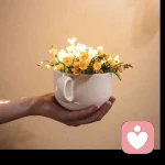 小林情感陪伴的头像