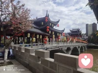 春入廊桥，樱绽檐前。
红灯悬阁，碧水穿桥。
一桥阅尽千年韵，一樱揽尽满城春。
风拂花影动，恍入古画中。