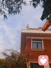 别总盯着自己的不完美苛责自己，你已经在努力生活、努力调整，这就足够棒了。

心理成长从不是变成无坚不摧的人，而是学会接纳自己的脆弱，与不完美的自己和平共处。