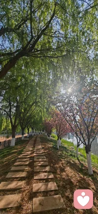 《醒 来》作者：伯特·海灵格
生命就是一趟从沉睡到醒来的旅程
每个人都会在适当的时间在适当的地点以适当的方式醒来
只不过每个人醒来的方式不同
醒来所需要的时间不同
有的人需要一年
有的人需要10年20年
有的人需要一辈子
有的人需要无数次的生命轮回
如果爱不能唤醒你
那么，生命就用痛苦来唤醒你
如果痛苦不能唤醒你
那么，生命就用更大的痛苦来唤醒你
如果更大的痛苦不能唤醒你
那么，生命就用失去唤醒你
如果失去不能唤醒你
那么，生命就用更大的失去唤醒你
包括生命本身
生命会用生命的方式
在无限的时间和空间里
无止境的来唤醒你
生命会用生命的体验
在无尽的生死和轮回里不停息的来唤醒你
直到你醒来!配图