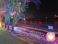冬天的颜色，不只有白色，五彩斑斓中让你我留恋，让生活更充满希望，倾听雪花飞舞的声音，欢迎您的心声。配图