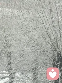 虽然有点冷，但还是喜欢这雪带来宁静与安然