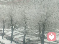 虽然有点冷，但还是喜欢这雪带来宁静与安然