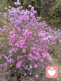 当你不再试图修正他人，你的心就成了一面澄澈的镜子。在与亲人相处时，试着放下纠正的冲动；遇见不同观点时，暂停反驳的惯性。你会发现，当接纳取代改造，关系中的紧绷感自然消融。楼下的空间里，爱才能自由流动。
​