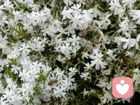 当你不再试图修正他人，你的心就成了一面澄澈的镜子。在与亲人相处时，试着放下纠正的冲动；遇见不同观点时，暂停反驳的惯性。你会发现，当接纳取代改造，关系中的紧绷感自然消融。楼下的空间里，爱才能自由流动。
​