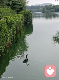 永远不要压抑自己的感受，你不必满足它们，但也不要压抑它们。只要知道它们就在那里，然后放他们离开。