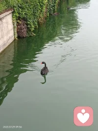 永远不要压抑自己的感受，你不必满足它们，但也不要压抑它们。只要知道它们就在那里，然后放他们离开。