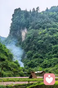 向下生根，向上开花，不负生活，不负自己！配图