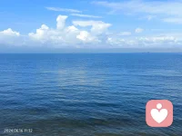 圆月高悬吐银光，
路灯闪烁树金黄。
白雪若能如期至，
景色恰似吾故乡。配图