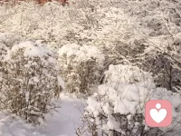 焊的焊死，涝的涝死，南北方差异太大，生活中太安逸也使人有惰性，福足自己，充实自己，配图