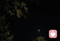 青丝白发一瞬间
年华老去向谁言
风风雨雨几十年
转眼黄土埋胸前
一生如牛不得闲
得闲已与山共眠
春风若有怜花意
可否许我再少年配图