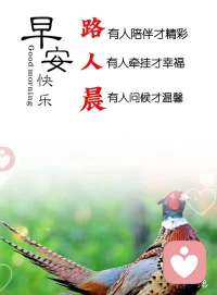 铭记那些可亲之人，珍藏那些重情之友，感恩那些有德之士，结交那些诚信之伴。愿世间的善意与美好永远流传，愿好人一生平安！配图