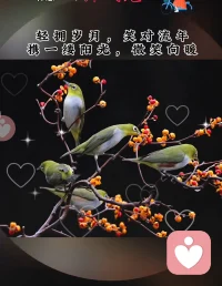 早安您好！福鹿临门，喜乐常存。美好周六，愿您及家人晨起有微笑，生活有阳光，一路皆好运，万事皆安康！配图