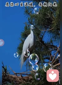 一个祝福，让人沐浴春辉；一句善语，让人暖在心底；一声问候，让人气爽神怡。配图