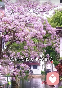 心有山海静而无争，身避尘嚣淡而安然，人生最舒服的状态，适度的收敛锋芒。半藏半入世， 岁月不停流转，年华慢慢老去。知足常乐养身，胡思乱想伤身。释怀 、看淡 、从容自若，用自己喜欢的节奏，过好每一个晨起暮落。簡單生活，平安健康，快樂過好每一天！配图