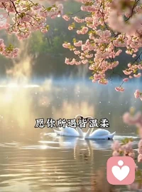 早安。一份从容解万愁，满怀安定过千关。那些曾经困住你的难题，终会变成身后走过的风景。此刻，给生活一点耐心，给内心一点阳光，愿你所遇皆温柔，所行皆坦途，所求皆如愿，未来皆可期。配图