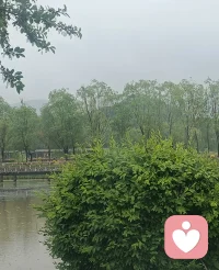 烟雨蒙蒙烟雨中，配图