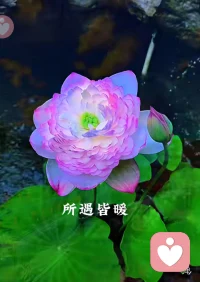 生活最好的状态，是随遇而安，顺其自然。一路上有突如其来的风雨，也有不期而遇的温暖，不必纠结不如意的琐事，不必纠结留不住的缘分。放平心态，珍惜眼前，平凡的日子也处处藏着温暖。配图
