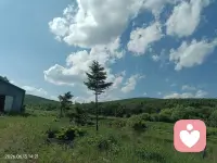 孟夏风暖草木生，岁月安然心自宁。日子不慌不忙，生活不紧不慢。配图