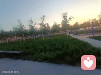 善良的人才会相信这个世界上有愿意真正去奉献的人