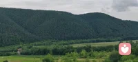 月升东海皆有情，独留清风抚君意。世间万物虽相似，唯有君心最难觅。配图