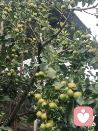 边界感，是信任的保护层。
再好的关系，也不能毫无分寸。尊重对方的情绪与隐私，不随意窥探，不随意评判，不把别人的心事到处转述。懂得守住边界，别人才敢卸下防备，愿意向你敞开心扉。没有边界的亲近，最后只会带来消耗与猜忌。