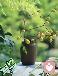 “给时间时间，让过去过去”。曾以为：风有约，花不误，岁岁不相负。后来明白：半生花开，半世花落。回首过往半生路，七分酸楚三分甜。最后懂得：给时间时间，让过去过去，让开始开始。听湖风，看烟波，等花开，待春来。不必慌张，会好，迟早。