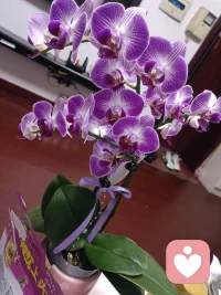 给孩子存钱，不如给孩子存福报。钱财会散尽，福报才是一个人最稳的生命底气。厚道、心善、有智慧的父母，即便平凡，也能为孩子种下福田。有福报的孩子，自带品德、认知与格局，能创造财富，更能滋养他人，成为家族业力的破局者。
反之，父母精明算计、唯利是图、价值观歪斜，纵有家财万贯，孩子也会承接沉重业力，人生步步艰难。
