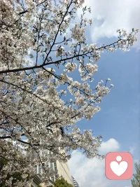 且听风吟，静待花开。