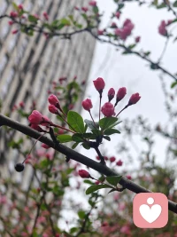 天气在回暖，往后的日子都充满希望。