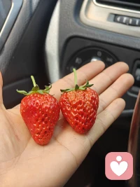 愿所有美好，都随春天如期而至。